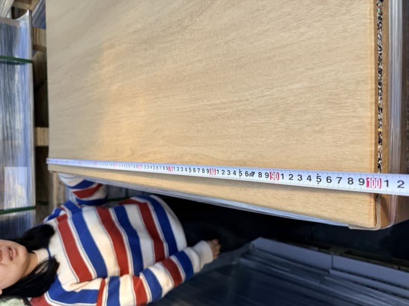 plastic barrier under gym equipment